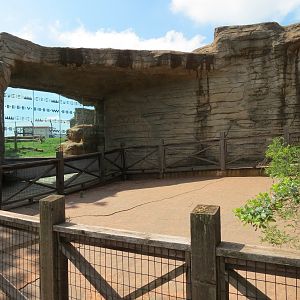 Oklahoma Trails - American Black Bear Exhibit Viewing Area