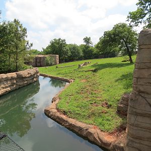 Oklahoma Trails - American Black Bear Exhibit