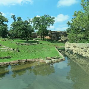 Oklahoma Trails - American Black Bear Exhibit