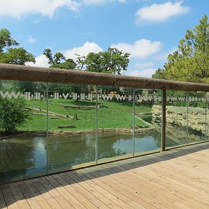 Oklahoma Trails - American Black Bear Exhibit Viewing Area