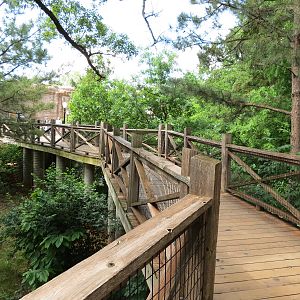 Oklahoma Trails - Bald Eagle Exhibit Viewing Path