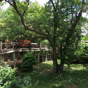 Oklahoma Trails - Bald Eagle Exhibit