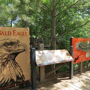 Oklahoma Trails - Bald Eagle Exhibit Sign