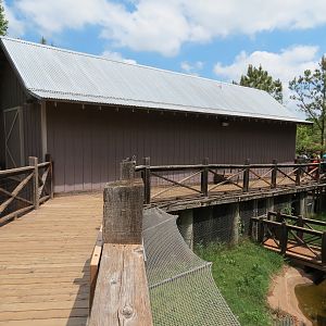 Oklahoma Trails - American Alligator Exhibit Viewing Path