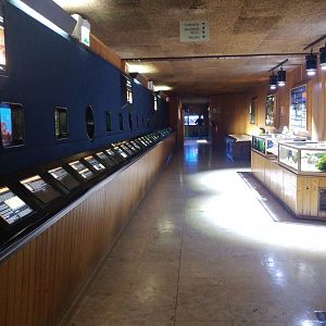 The taxonomic collection