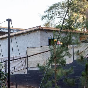 Construction on the platypus exhibit.