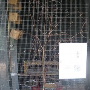 Doktorparken - Budgerigar aviary