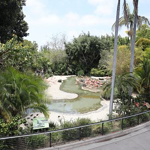 flamingo pond (from bus)