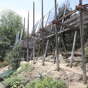 work on raptor aviaries