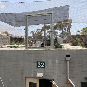 jaguar rooftop yard (from bus)