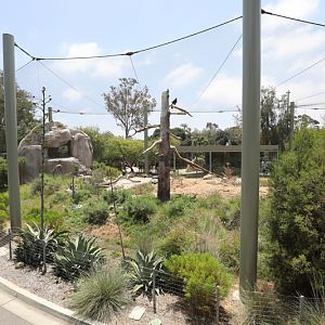 california condor exhibit (from bus)