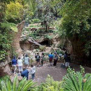 tiger exhibit (from bus)