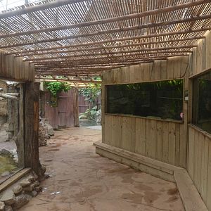 Tropical Greenhouse at CERZA, 10/06/18