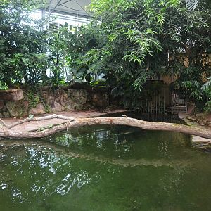 Amerian Alligator Enclosure at CERZA, 10/06/18