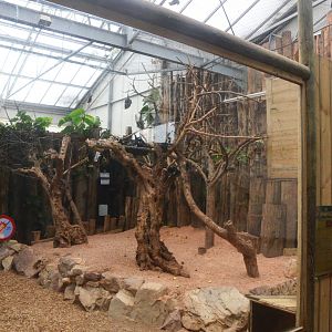 Fruit Bat and Tortoise Enclosure at CERZA, 10/06/18