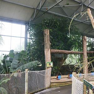 Australian Greenhouse Interior at CERZA, 10/06/18