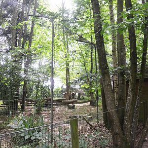 Leopard Enclosure at CERZA, 10/06/18