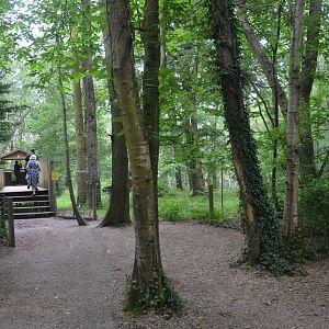 African Wild Dog Viewing Area at CERZA, 10/06/18
