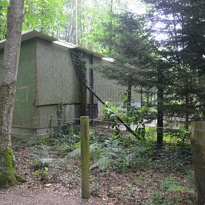 Empty (?) Striped Hyaena Enclosure at CERZA, 10/06/18