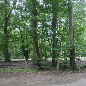 Red River Hog Enclosure at CERZA, 10/06/18