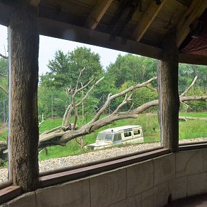 Lion Enclosure Viewing at CERZA, 10/06/18