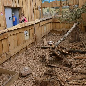 Armadillo Enclosure at CERZA, 10/06/18