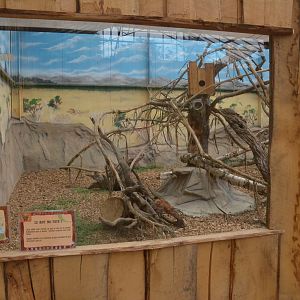 Ring-tailed Mongoose/Vontsira Enclosure at CERZA, 10/06/18