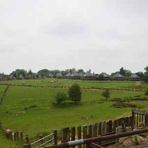 View of Asian Paddocks at CERZA, 10/06/18