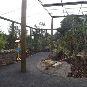 Lorikeet Aviary 22/06/2018