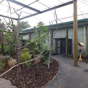 Lorikeet Aviary 22/06/2018