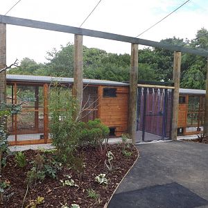 Lorikeet Aviary 22/06/2018
