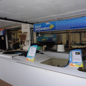 Filtration and Breeding area - SeaLife Adventures