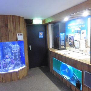 Clownfish tank and invert/reptile interaction/talk space - SeaLife Adventures