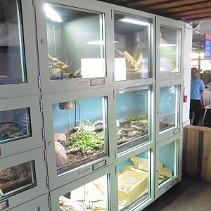 Inverts and reptile terrariums