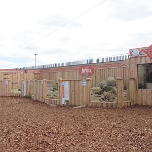 New Wild Africa enclosaure - Meerkats,African Spurred Tortoise,Leopard Tortoise