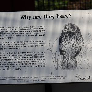 Informational Signage