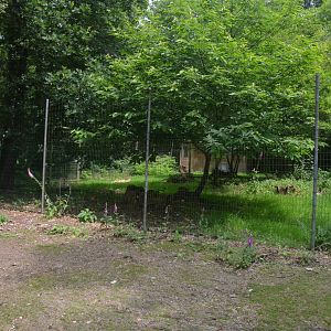 Cheetah Paddock from the Road Train at CERZA, 10/06/18