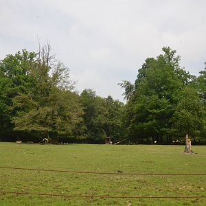 Zebra, Oryx and Ostrich Paddock from the Road Train at CERZA, 10/06/18