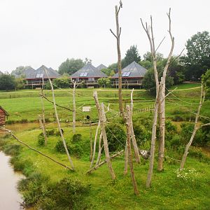 Siamang Enclosure at CERZA, 10/06/18