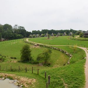 View of Asian Paddocks at CERZA, 10/06/18
