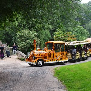 Road Train at CERZA, 10/06/18