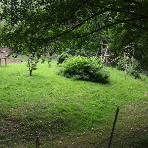 Lion-tailed Macaque Enclosure at CERZA, 10/06/18