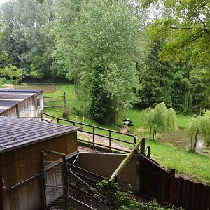 Malayan Tapir Complex at CERZA, 10/06/18