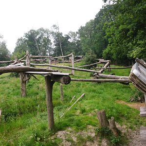 Spectacled Bear Enclosure at CERZA, 10/06/18