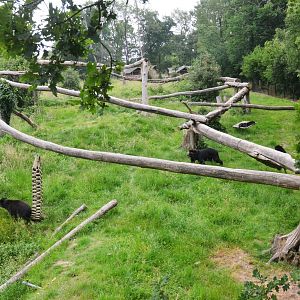 Spectacled Bear Enclosure at CERZA, 10/06/18