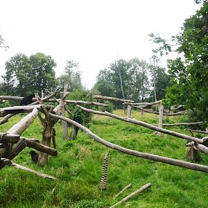 Spectacled Bear Enclosure at CERZA, 10/06/18