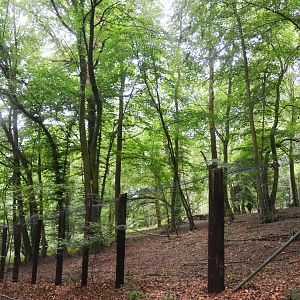 Arctic Wolf Enclosure at CERZA, 10/06/18