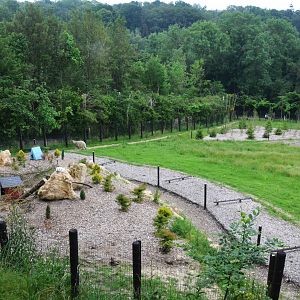 Polar Bear/Arctic Fox Complex at CERZA, 10/06/18