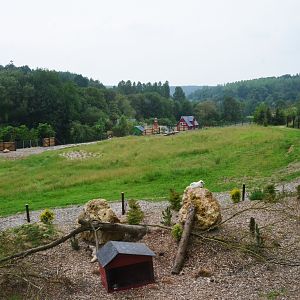 Polar Bear/Arctic Fox Complex at CERZA, 10/06/18