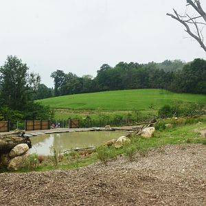 Polar Bear/Arctic Fox Complex at CERZA, 10/06/18